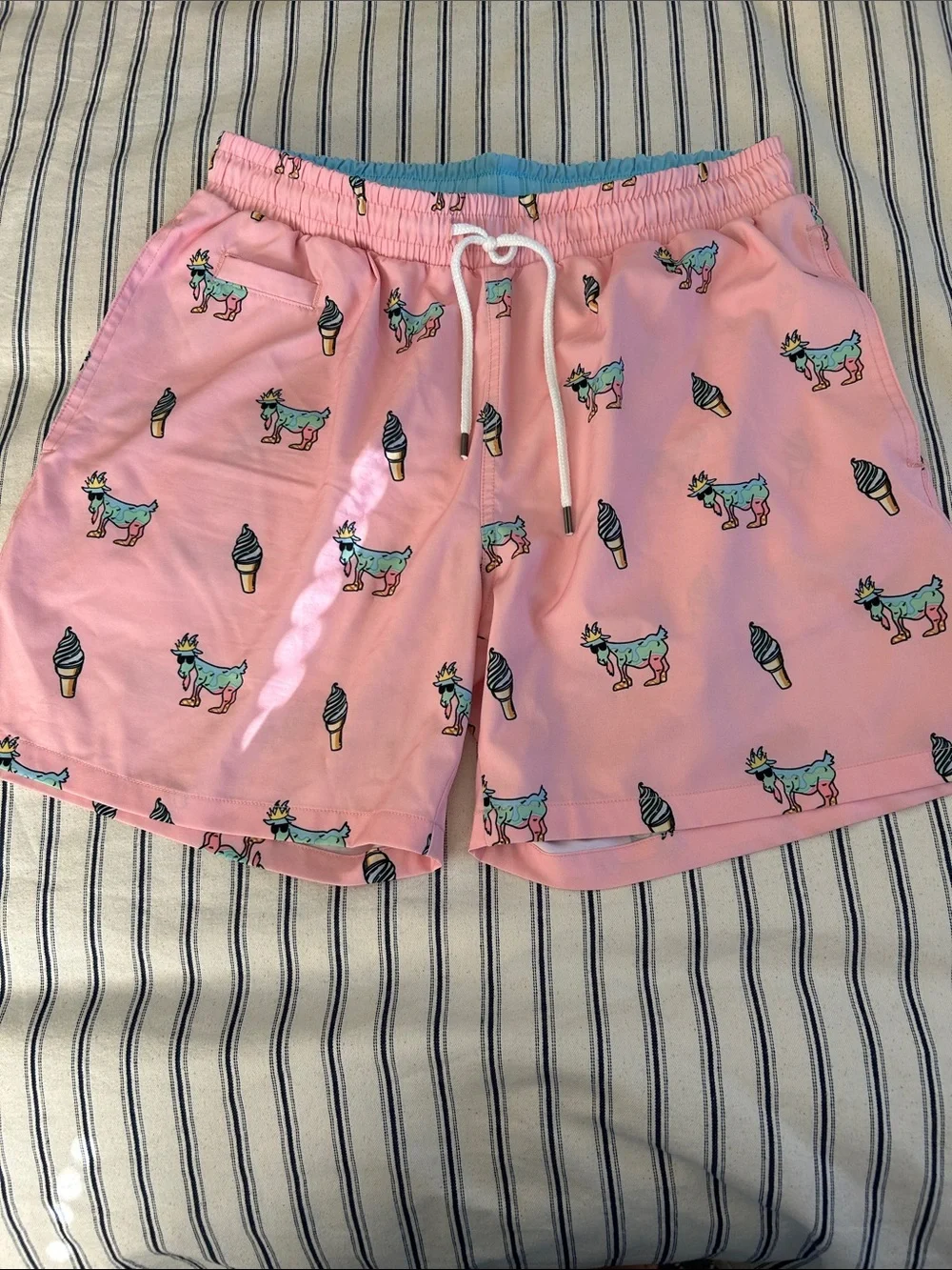 EUC S Men’s Goat USA Swim Shorts